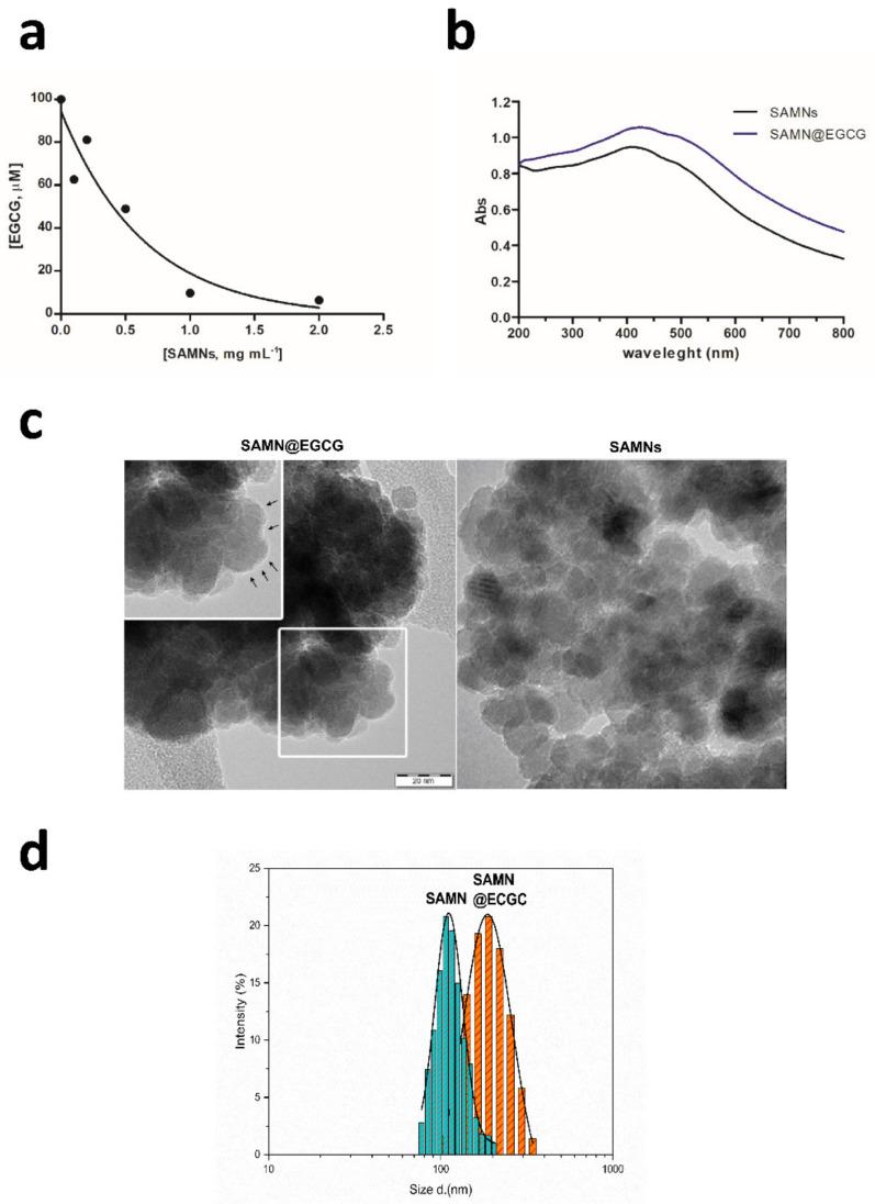 https://cdn.ncbi.nlm.nih.gov/pmc/blobs/a334/8402011/41b7f1efe0f2/pharmaceutics-13-01266-g001.jpg