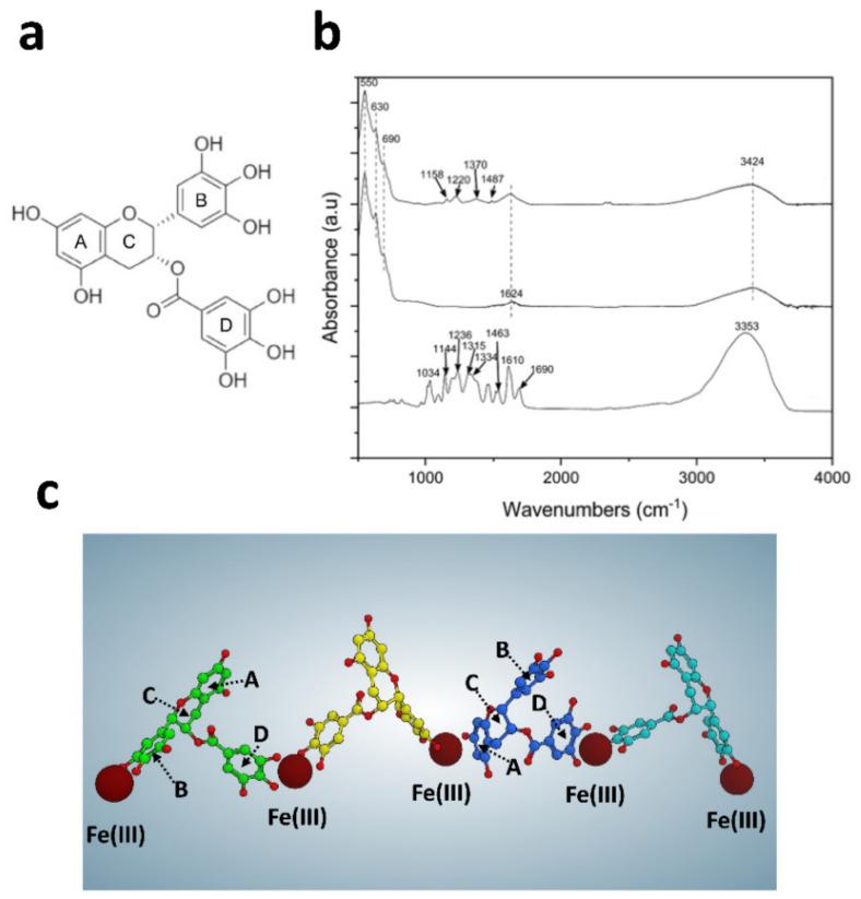 https://cdn.ncbi.nlm.nih.gov/pmc/blobs/a334/8402011/f634931aecfa/pharmaceutics-13-01266-g002.jpg