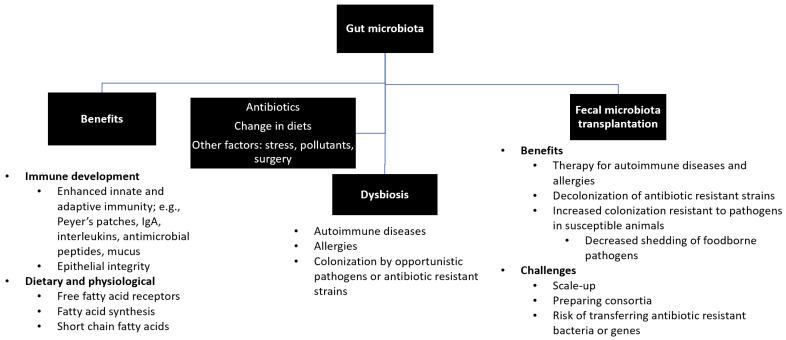 https://cdn.ncbi.nlm.nih.gov/pmc/blobs/a337/9404867/ece9f4d662bf/antibiotics-11-01093-g001.jpg