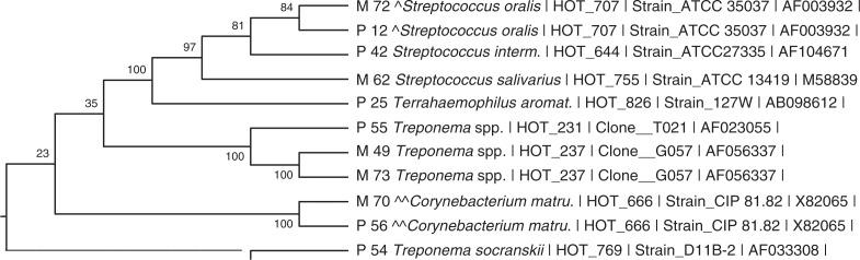 https://cdn.ncbi.nlm.nih.gov/pmc/blobs/a338/4967714/32145610ae85/JOM-8-31854-g004.jpg