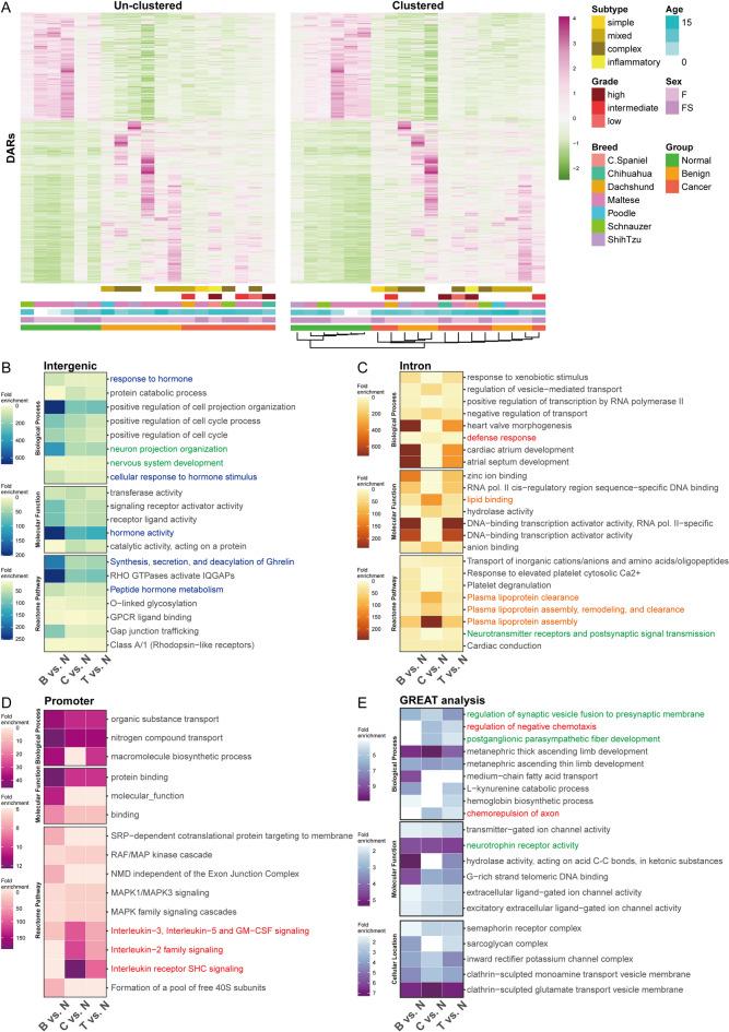 https://cdn.ncbi.nlm.nih.gov/pmc/blobs/a33a/12223031/14280239461d/41598_2025_6296_Fig2_HTML.jpg