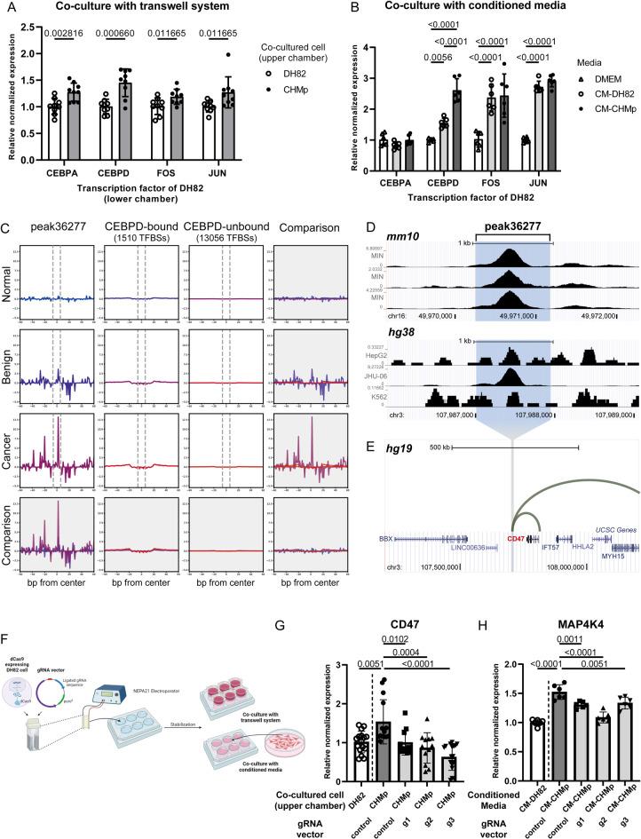 https://cdn.ncbi.nlm.nih.gov/pmc/blobs/a33a/12223031/c7d34ece8e3f/41598_2025_6296_Fig5_HTML.jpg