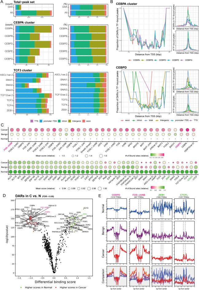 https://cdn.ncbi.nlm.nih.gov/pmc/blobs/a33a/12223031/cb9f72c69bb7/41598_2025_6296_Fig3_HTML.jpg