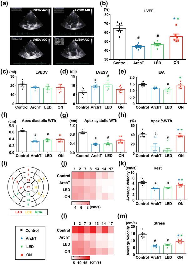 https://cdn.ncbi.nlm.nih.gov/pmc/blobs/a33b/10037959/c024ace5ea7c/ADVS-10-2205551-g001.jpg