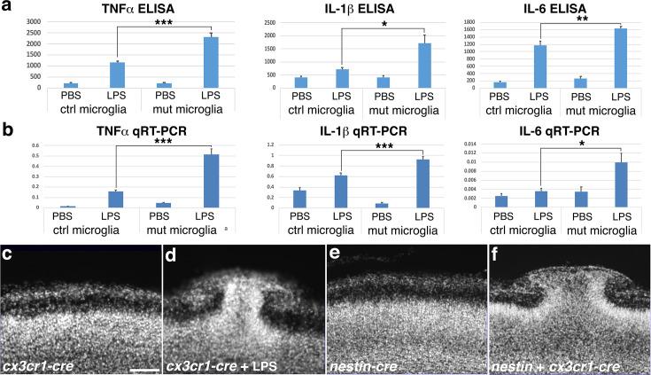 https://cdn.ncbi.nlm.nih.gov/pmc/blobs/a33d/11620749/857add5e6004/elife-100446-fig2.jpg