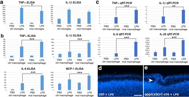 https://cdn.ncbi.nlm.nih.gov/pmc/blobs/a33d/11620749/d3d9f4c111d2/elife-100446-fig3.jpg