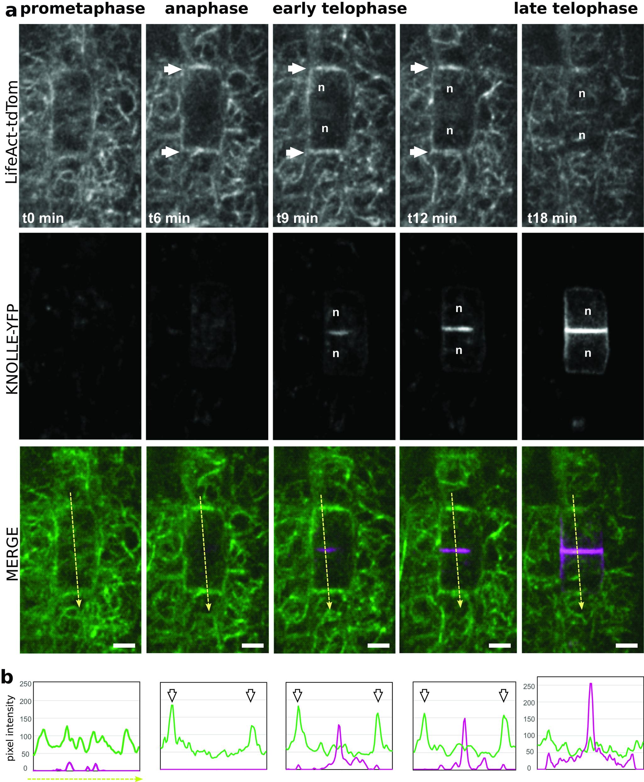 https://cdn.ncbi.nlm.nih.gov/pmc/blobs/a33e/10095810/8a662e71f910/S2632882822000017_fig4.jpg