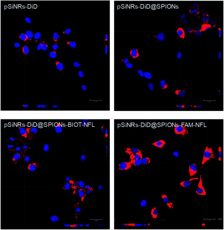 https://cdn.ncbi.nlm.nih.gov/pmc/blobs/a33e/9008514/79bfde67668c/d2ra00508e-f6.jpg