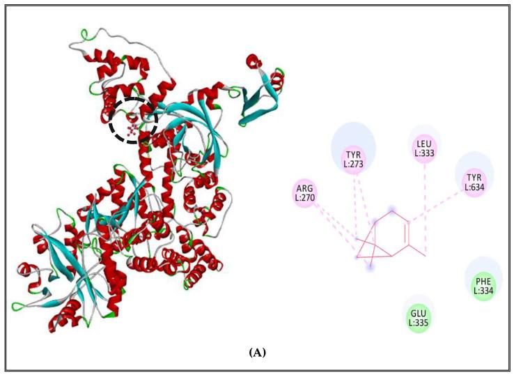 https://cdn.ncbi.nlm.nih.gov/pmc/blobs/a33f/9103706/e9be06d9adf6/molecules-27-02630-g004a.jpg