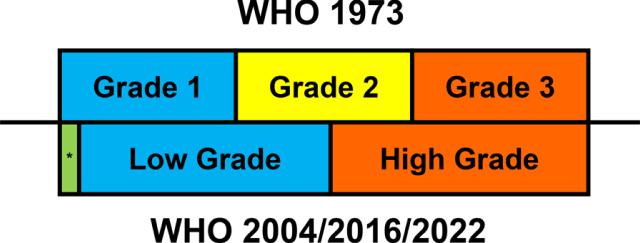 https://cdn.ncbi.nlm.nih.gov/pmc/blobs/a340/11181758/5a4b6683d833/blc-9-blc220106-g001.jpg
