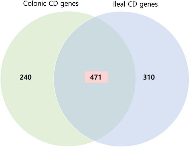 https://cdn.ncbi.nlm.nih.gov/pmc/blobs/a341/8185924/50d05fcc5fee/12967_2021_2909_Fig3_HTML.jpg
