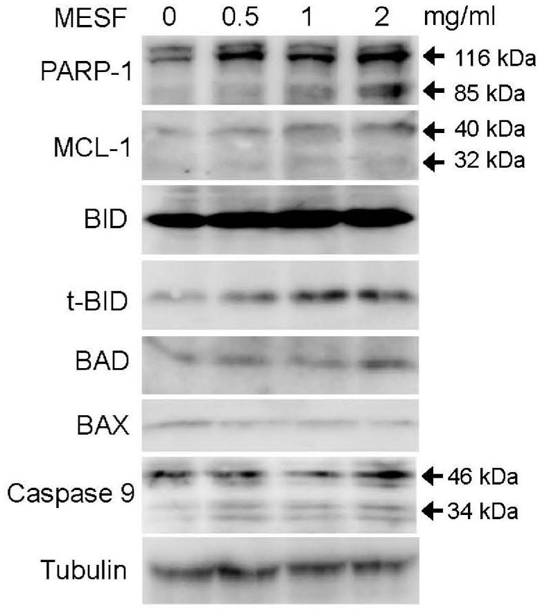 https://cdn.ncbi.nlm.nih.gov/pmc/blobs/a342/4139949/4c1666576793/srep06147-f6.jpg