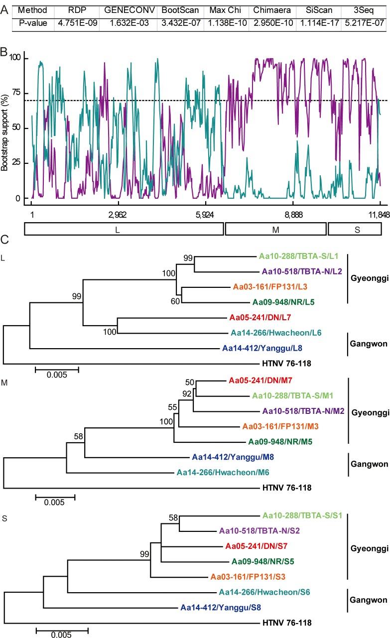 https://cdn.ncbi.nlm.nih.gov/pmc/blobs/a342/4912082/c04c585c5a51/pntd.0004650.g006.jpg
