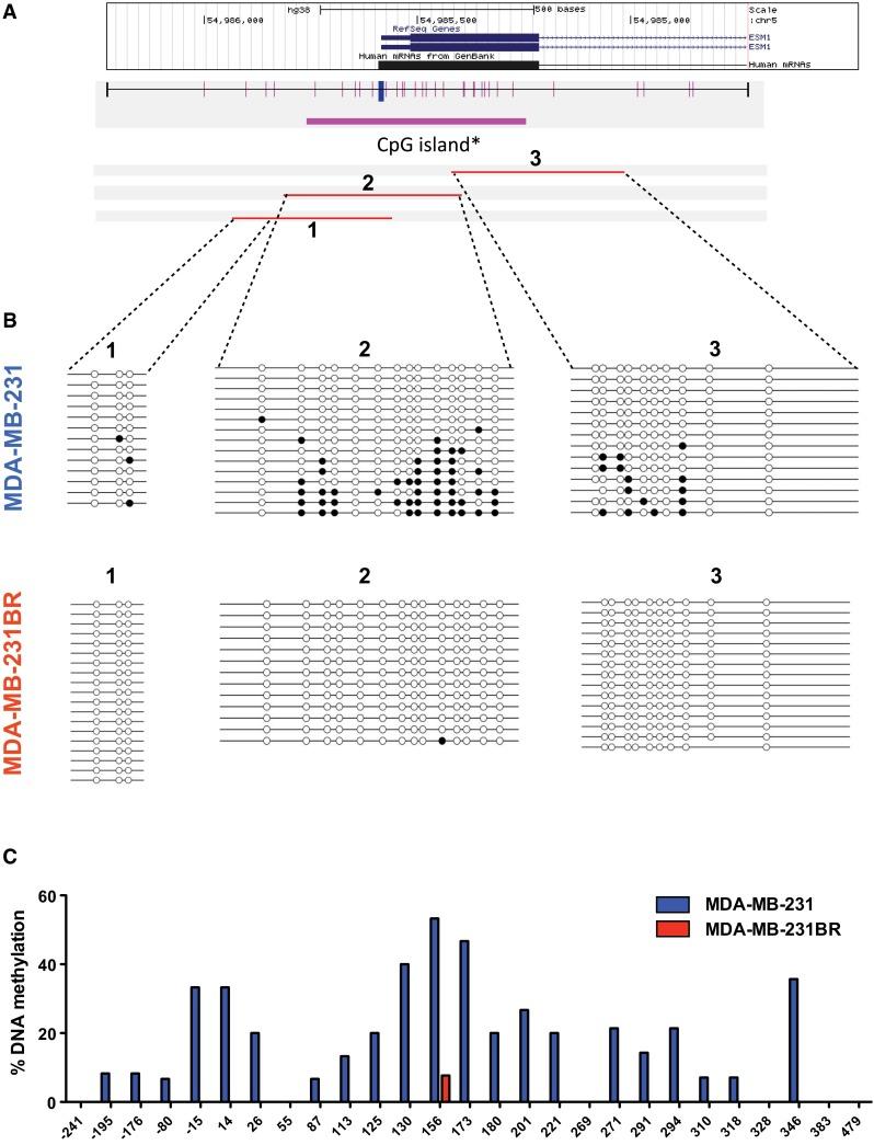 https://cdn.ncbi.nlm.nih.gov/pmc/blobs/a343/5225208/4b6a020ea965/10549_2016_4057_Fig6_HTML.jpg