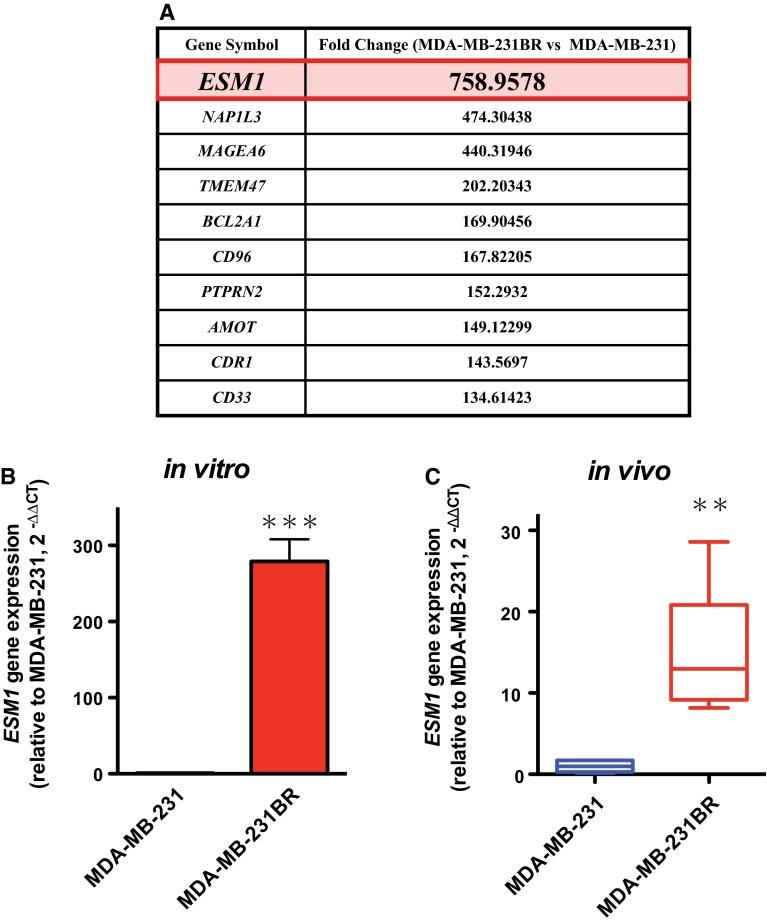 https://cdn.ncbi.nlm.nih.gov/pmc/blobs/a343/5225208/7b8706ffaa2d/10549_2016_4057_Fig2_HTML.jpg