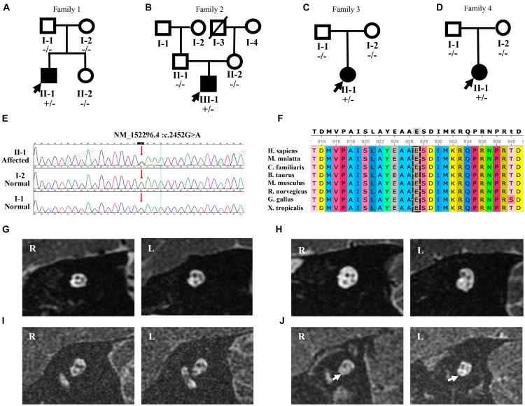 https://cdn.ncbi.nlm.nih.gov/pmc/blobs/a343/8531511/430f43ca7cb7/fcell-09-749484-g002.jpg