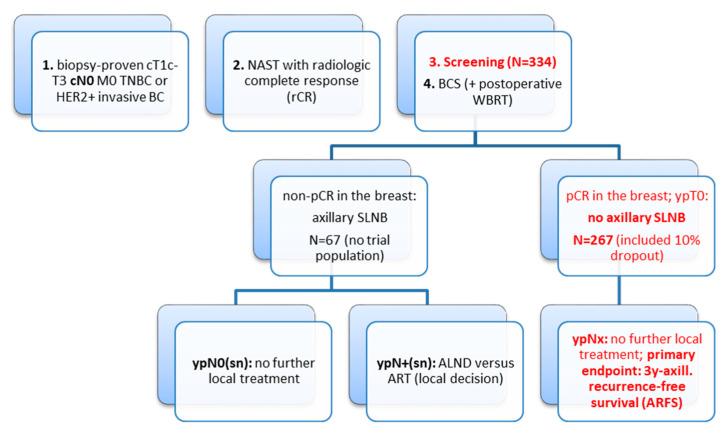 https://cdn.ncbi.nlm.nih.gov/pmc/blobs/a344/7763449/fce135fa7814/cancers-12-03698-g001.jpg