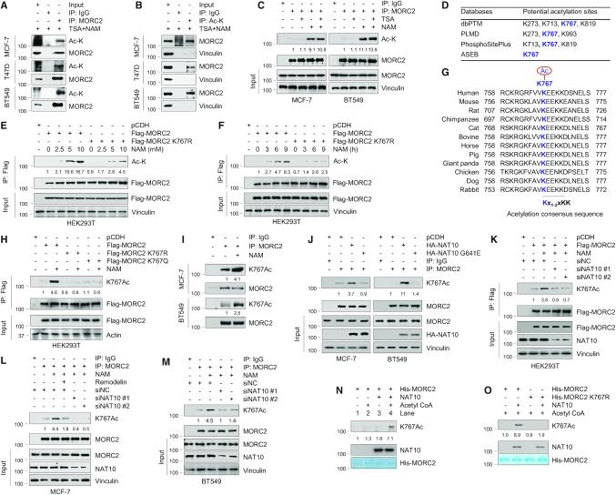https://cdn.ncbi.nlm.nih.gov/pmc/blobs/a345/7144926/538f460af93b/gkaa130fig1.jpg
