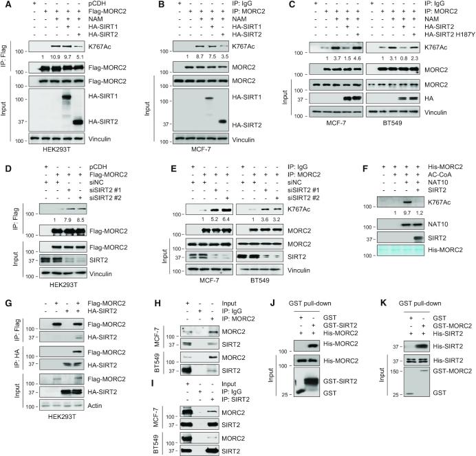 https://cdn.ncbi.nlm.nih.gov/pmc/blobs/a345/7144926/6177911578f5/gkaa130fig2.jpg