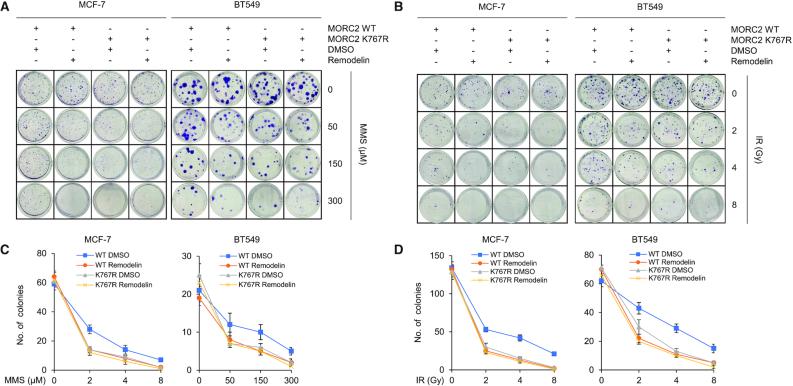 https://cdn.ncbi.nlm.nih.gov/pmc/blobs/a345/7144926/a2a562e2f9b7/gkaa130fig9.jpg