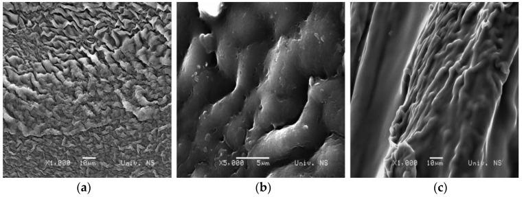 https://cdn.ncbi.nlm.nih.gov/pmc/blobs/a346/11507994/4d5c3b25ddb6/gels-10-00637-g008.jpg