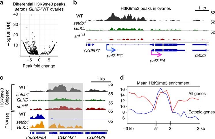 https://cdn.ncbi.nlm.nih.gov/pmc/blobs/a346/6175928/8043fa707dc7/41467_2018_6697_Fig4_HTML.jpg