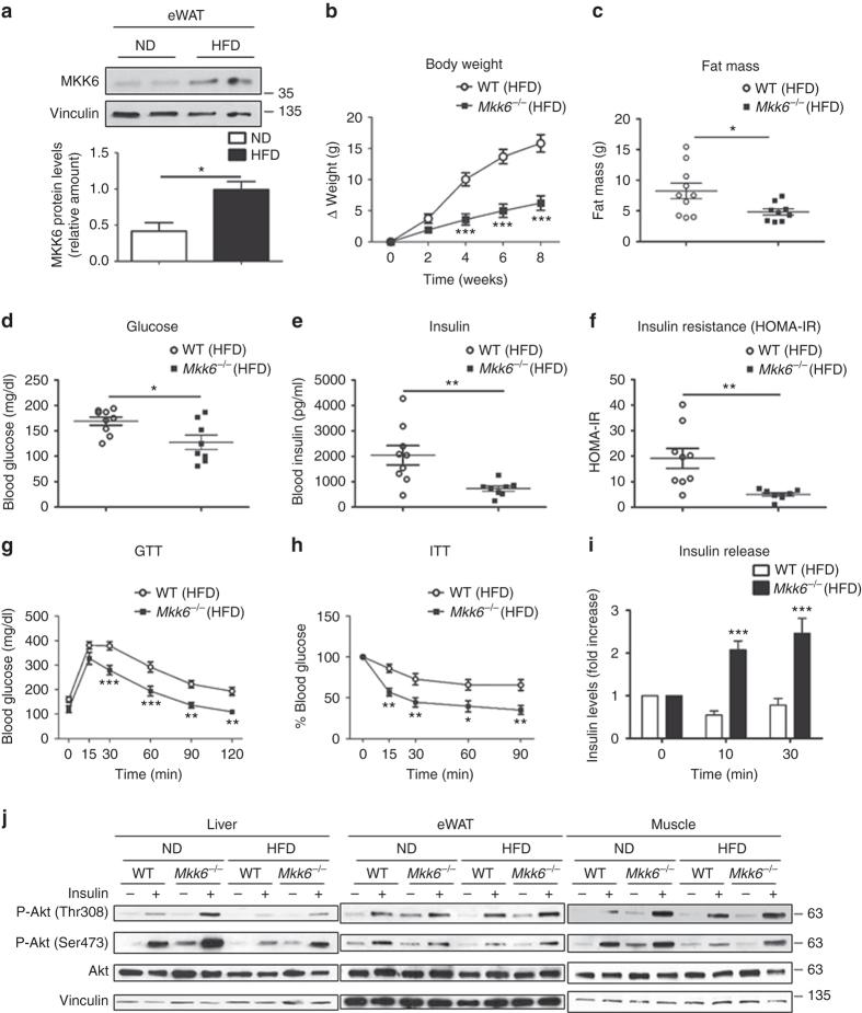 https://cdn.ncbi.nlm.nih.gov/pmc/blobs/a34a/5636784/d2ab227ad081/41467_2017_948_Fig1_HTML.jpg