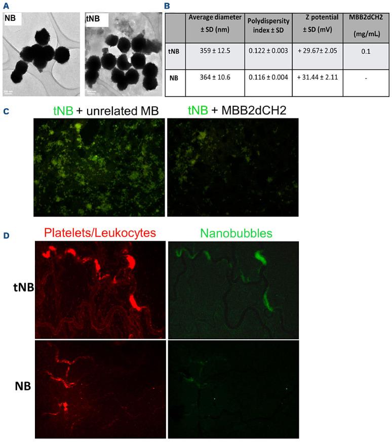 https://cdn.ncbi.nlm.nih.gov/pmc/blobs/a34b/10316273/4dfee675bffc/1081861.fig2.jpg