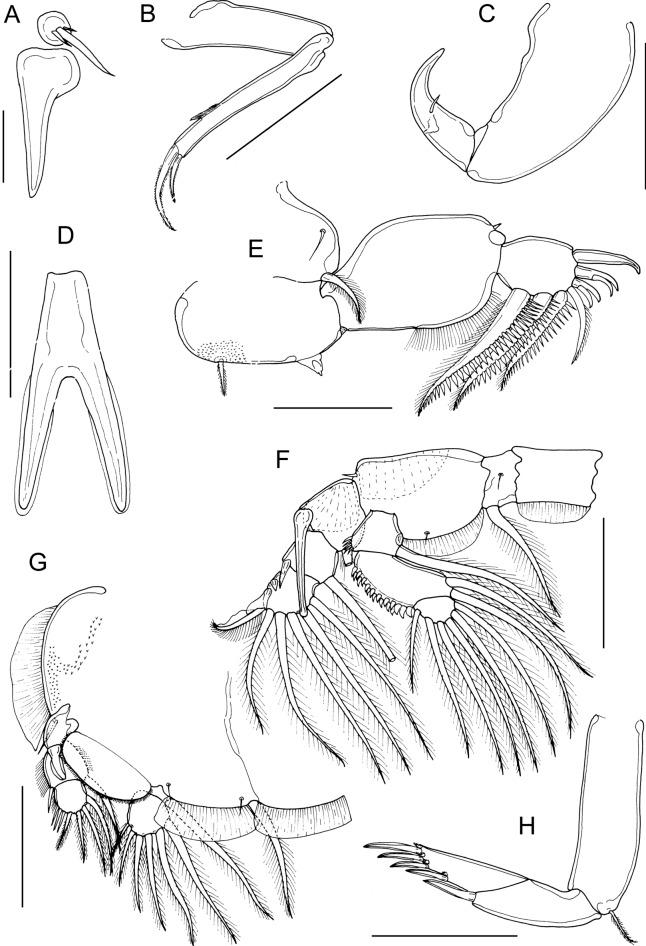https://cdn.ncbi.nlm.nih.gov/pmc/blobs/a34d/10444672/3c21cfa63975/11230_2023_10099_Fig2_HTML.jpg