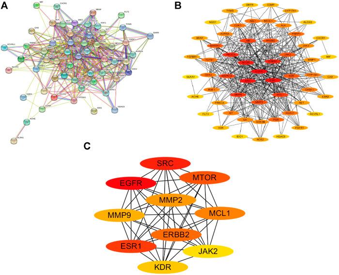 https://cdn.ncbi.nlm.nih.gov/pmc/blobs/a34f/8220148/1669056c4ab1/fchem-09-682862-g003.jpg