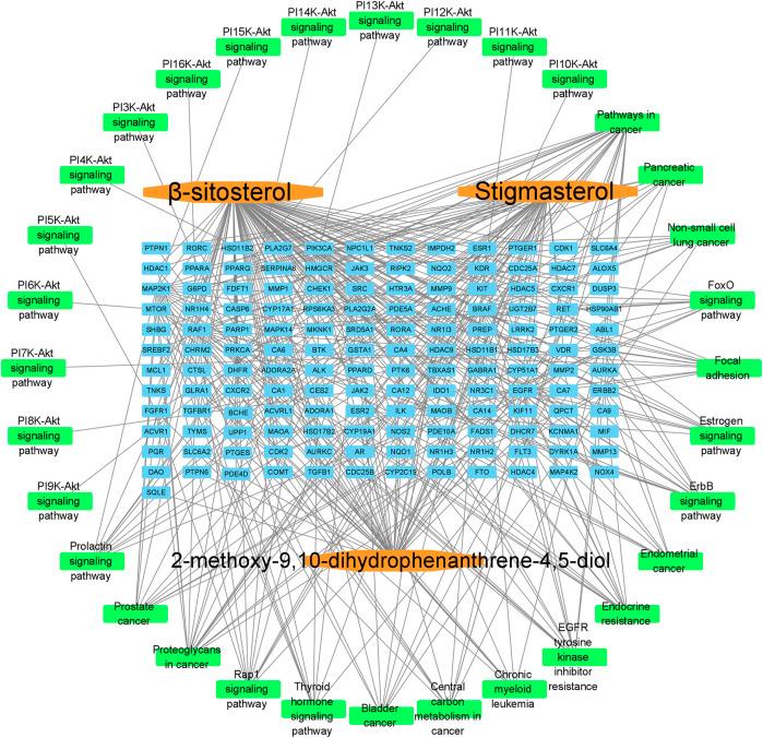 https://cdn.ncbi.nlm.nih.gov/pmc/blobs/a34f/8220148/d6da2cd9bad4/fchem-09-682862-g005.jpg
