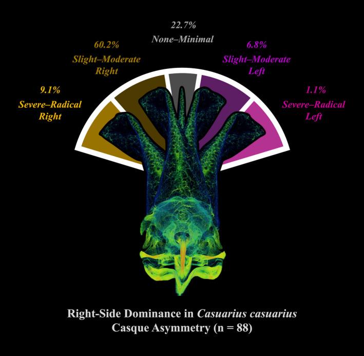 https://cdn.ncbi.nlm.nih.gov/pmc/blobs/a34f/9482693/98e3172f5a30/JOA-241-951-g003.jpg