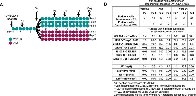 https://cdn.ncbi.nlm.nih.gov/pmc/blobs/a350/7906417/912a8f02be8f/pbio.3001091.g006.jpg