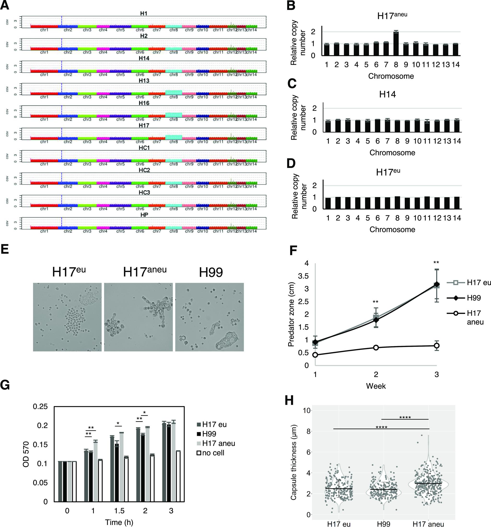 https://cdn.ncbi.nlm.nih.gov/pmc/blobs/a352/8092252/e52c8018a7b6/mBio.00567-21-f009.jpg