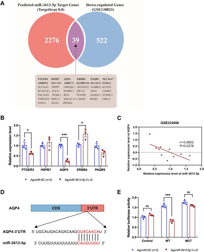 https://cdn.ncbi.nlm.nih.gov/pmc/blobs/a353/12006049/12567024abe4/fphar-16-1523689-g005.jpg