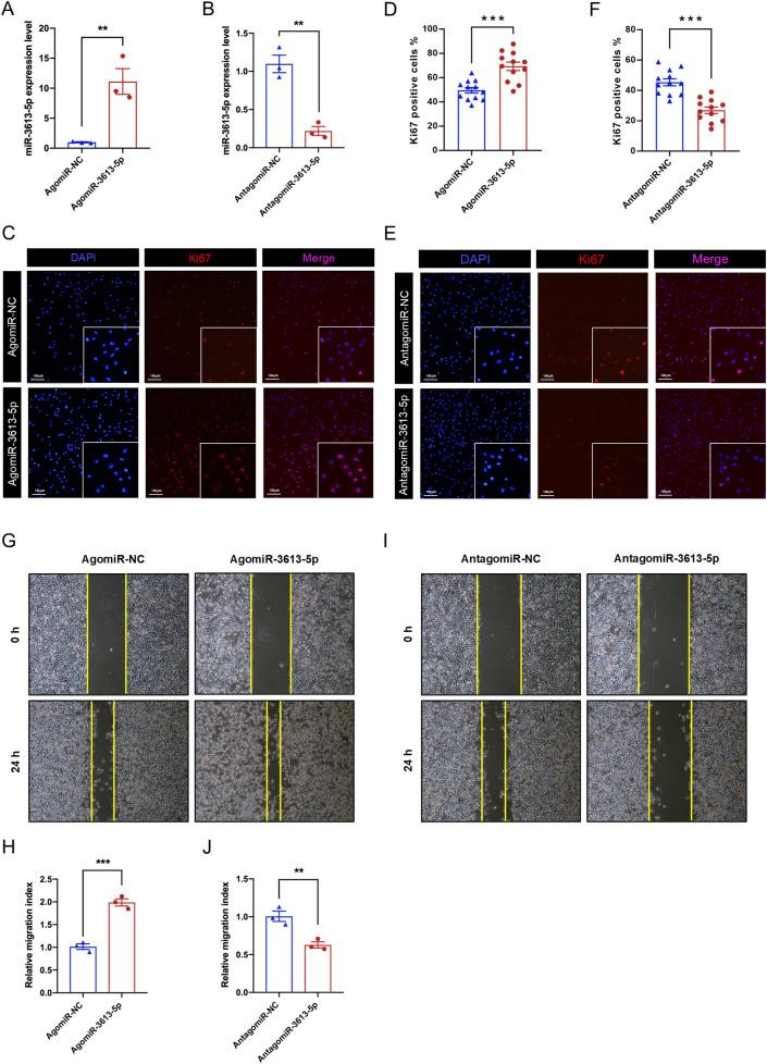https://cdn.ncbi.nlm.nih.gov/pmc/blobs/a353/12006049/85dee5048f57/fphar-16-1523689-g003.jpg