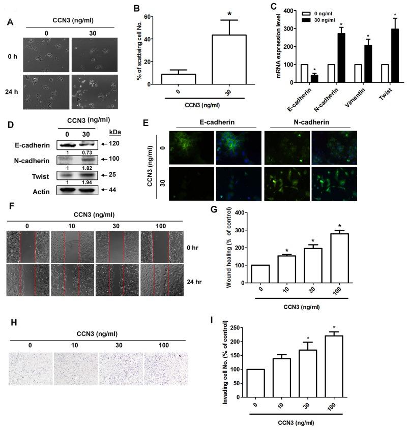 https://cdn.ncbi.nlm.nih.gov/pmc/blobs/a354/5650358/621c1689cae9/oncotarget-08-74506-g004.jpg