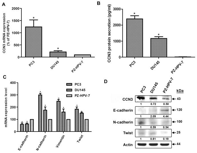 https://cdn.ncbi.nlm.nih.gov/pmc/blobs/a354/5650358/bfda0b17442e/oncotarget-08-74506-g002.jpg