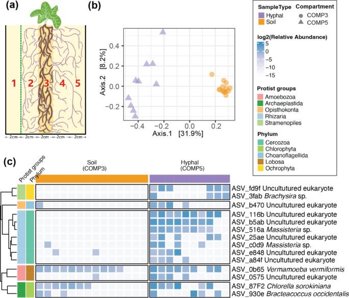 https://cdn.ncbi.nlm.nih.gov/pmc/blobs/a355/11604758/37310a56f8e7/572_2024_1167_Fig1_HTML.jpg