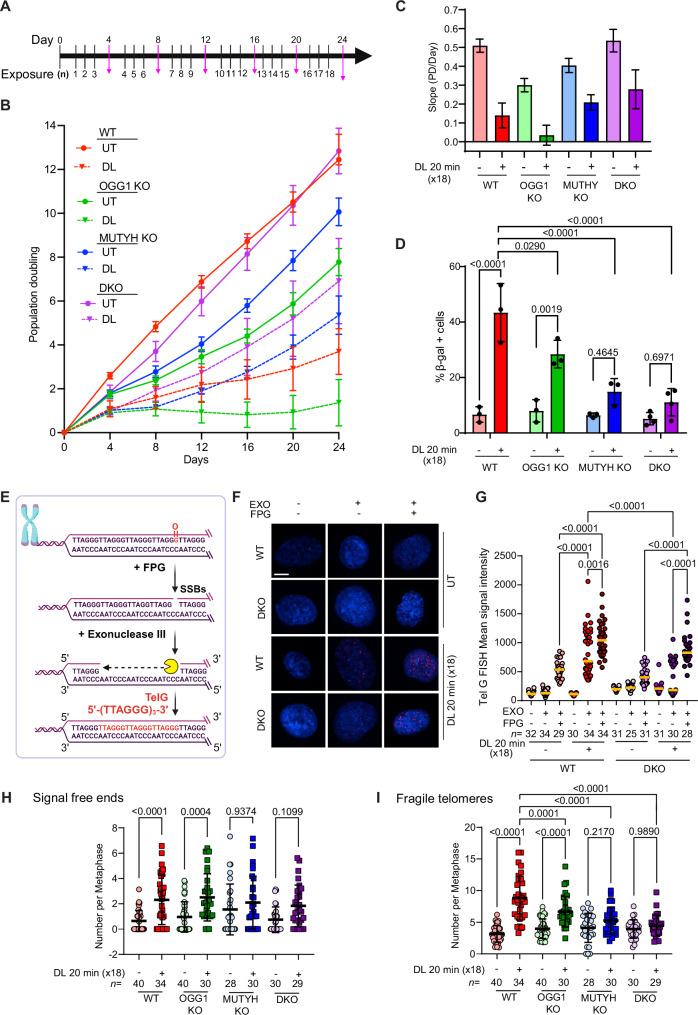 https://cdn.ncbi.nlm.nih.gov/pmc/blobs/a357/11751180/1ca45834c1d3/41467_2024_55638_Fig6_HTML.jpg