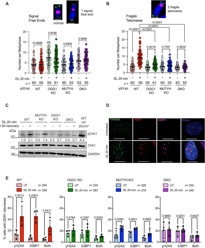 https://cdn.ncbi.nlm.nih.gov/pmc/blobs/a357/11751180/3f3ebaeb4957/41467_2024_55638_Fig3_HTML.jpg