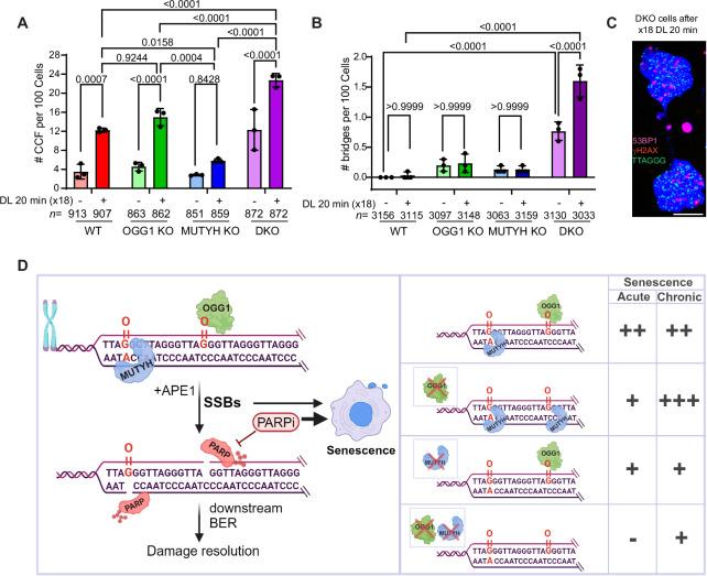 https://cdn.ncbi.nlm.nih.gov/pmc/blobs/a357/11751180/7d50d025f092/41467_2024_55638_Fig7_HTML.jpg