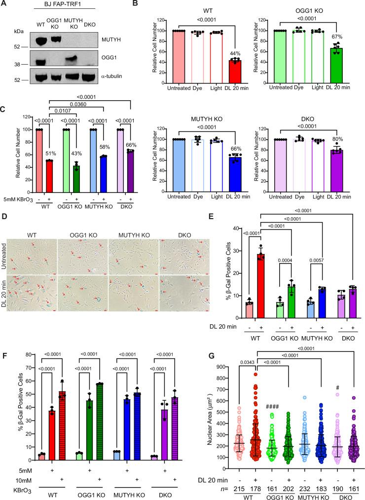 https://cdn.ncbi.nlm.nih.gov/pmc/blobs/a357/11751180/920feda97639/41467_2024_55638_Fig1_HTML.jpg