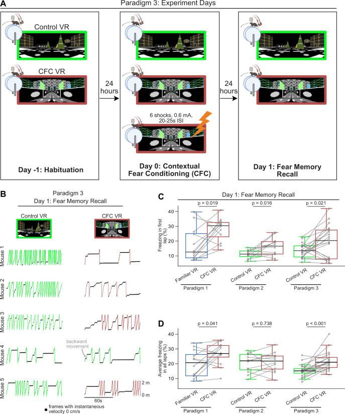 https://cdn.ncbi.nlm.nih.gov/pmc/blobs/a359/12173461/94a147c6bfe1/elife-105422-fig5.jpg