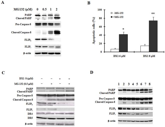 https://cdn.ncbi.nlm.nih.gov/pmc/blobs/a359/3026787/d4ca82e51548/pone.0015843.g005.jpg
