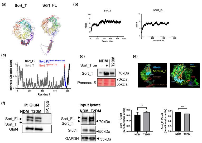 https://cdn.ncbi.nlm.nih.gov/pmc/blobs/a35c/10531797/dc7efd5dee98/ijms-24-14324-g002.jpg