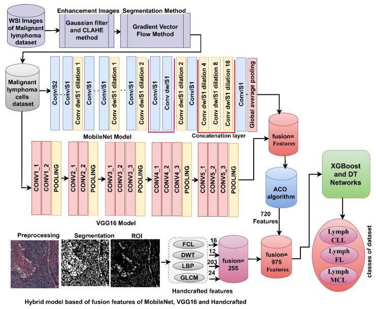 https://cdn.ncbi.nlm.nih.gov/pmc/blobs/a35e/10341222/defaccea4594/diagnostics-13-02258-g005.jpg