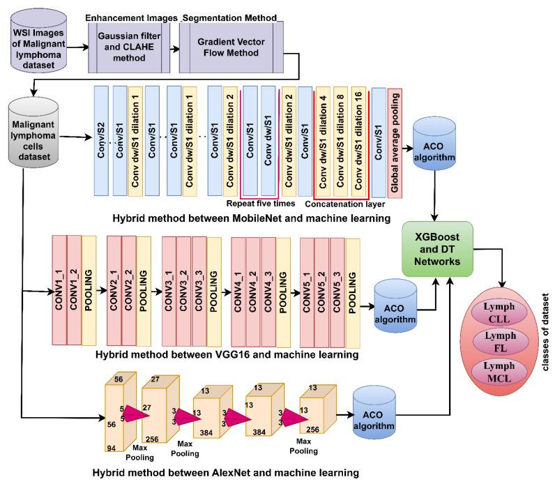 https://cdn.ncbi.nlm.nih.gov/pmc/blobs/a35e/10341222/e9f54cf105ea/diagnostics-13-02258-g003.jpg