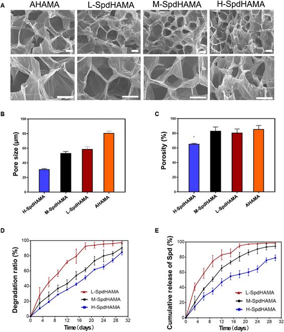 https://cdn.ncbi.nlm.nih.gov/pmc/blobs/a35f/12423504/11ba7578cbcf/bmr.0247.fig.003.jpg