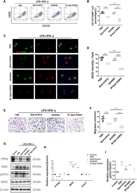 https://cdn.ncbi.nlm.nih.gov/pmc/blobs/a35f/12423504/880f2dec6988/bmr.0247.fig.007.jpg